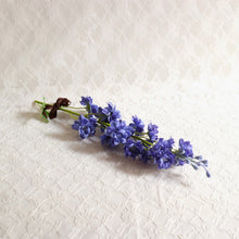 画像をギャラリービューアに読み込む, そのまま飾れるシングルブーケ*デルフィニウム|Luna et Lily(ルナエリリ)