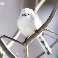 画像をギャラリービューアに読み込む, シマエナガ|ソックス・靴下|Miita(ミータ)