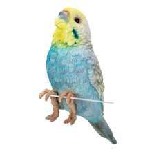 画像をギャラリービューアに読み込む, 縁飾り 水色セキセイインコ|WooBia(ウービア)