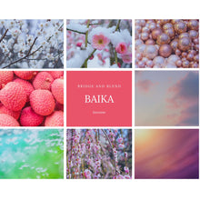 画像をギャラリービューアに読み込む, お香 ”Six in Sense”|BAIKA(お試しサイズ)|Bridge and Blend(ブリッジアンドブレンド)