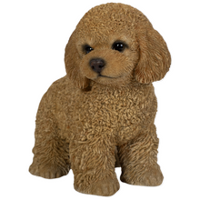 画像をギャラリービューアに読み込む, 右向きに立つトイプードル(アプリコット)|WooBia(ウービア)