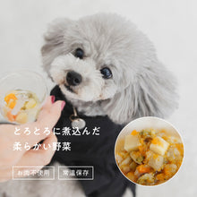 画像をギャラリービューアに読み込む, とろとろ野菜煮込み100g 春の陽だまりじゃがいも|OBREMO(オブレモ)