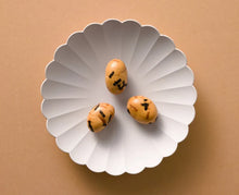 画像をギャラリービューアに読み込む, 初姿|OJIGI N STYLE(オジギエヌスタイル)