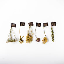 画像をギャラリービューアに読み込む, フランソワ プルミエ ハーブティー 6種入り+ダブルウォールグラスセット|LE BÉNÉFIQUE(ル ベネフィック)