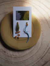 画像をギャラリービューアに読み込む, 芝桜| |海|光|(ミツミ)