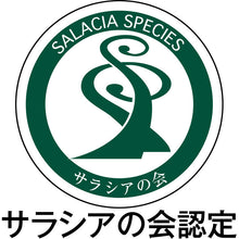 画像をギャラリービューアに読み込む, アビサラスリムティー