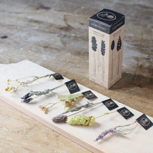 画像をギャラリービューアに読み込む, ハーブティー 12種+ダブルウォールグラスセット|LE BÉNÉFIQUE(ル ベネフィック)