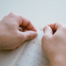 画像をギャラリービューアに読み込む, PETふせん2種(2個)セット|エビングハウスフセン