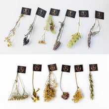 画像をギャラリービューアに読み込む, ハーブティー 12種+ダブルウォールグラスセット|LE BÉNÉFIQUE(ル ベネフィック)