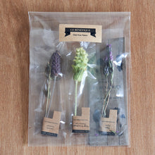 画像をギャラリービューアに読み込む, スルタン ソリマン ハーブティー 3本セット|LE BÉNÉFIQUE(ル ベネフィック)