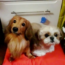 画像をギャラリービューアに読み込む, きになるニオイトリ オールマイティ|きになるニオイトリ/ecodeo(エコデオ)