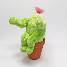 画像をギャラリービューアに読み込む, サボウテン(キラキラver.)|勉強中(ベンキョウチュウ)