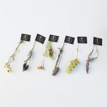 画像をギャラリービューアに読み込む, スルタン ソリマン ハーブティー 6種入り+ダブルウォールグラスセット|LE BÉNÉFIQUE(ル ベネフィック)