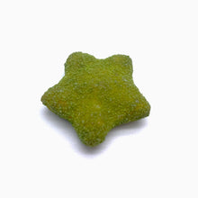 画像をギャラリービューアに読み込む, 星 Matcha|花hitohira (ハナヒトヒラ)