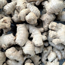 画像をギャラリービューアに読み込む, 房州生姜とニッキのジンジャーシロップ|FUSABUSA(フサブサ)