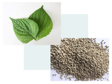 画像をギャラリービューアに読み込む, えごま麺|Cocopelli(ココペリ)