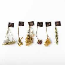 画像をギャラリービューアに読み込む, フランソワ プルミエ ハーブティー 6種入り+マグカップセット|LE BÉNÉFIQUE(ル ベネフィック)