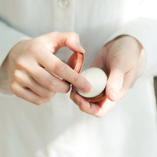 画像をギャラリービューアに読み込む, マルチバーム|NEMOHAMO(ネモハモ)