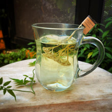 画像をギャラリービューアに読み込む, フランソワ プルミエ ハーブティー 6種入り+マグカップセット|LE BÉNÉFIQUE(ル ベネフィック)