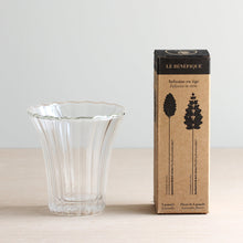 画像をギャラリービューアに読み込む, スルタン ソリマン ハーブティー 6種入り+ダブルウォールグラスセット|LE BÉNÉFIQUE(ル ベネフィック)