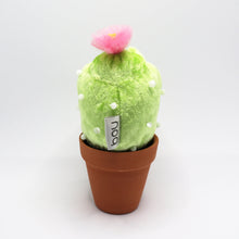 画像をギャラリービューアに読み込む, サボウテン(キラキラver.)|勉強中(ベンキョウチュウ)