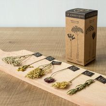 画像をギャラリービューアに読み込む, フランソワ プルミエ ハーブティー 6種入り+ダブルウォールグラスセット|LE BÉNÉFIQUE(ル ベネフィック)