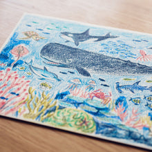 画像をギャラリービューアに読み込む, 海のクレヨン|スカパーJSAT