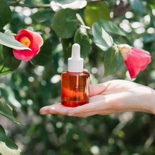 画像をギャラリービューアに読み込む, ブースターオイル|NEMOHAMO(ネモハモ)