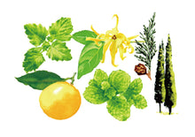 画像をギャラリービューアに読み込む, NOMAD FISH SOAP ミント|ACB工房(アシベコウボウ)