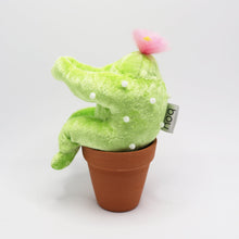 画像をギャラリービューアに読み込む, サボウテン(キラキラver.)|勉強中(ベンキョウチュウ)