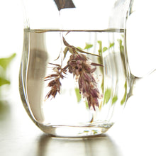 画像をギャラリービューアに読み込む, フランソワ プルミエ ハーブティー 6種入り+マグカップセット|LE BÉNÉFIQUE(ル ベネフィック)