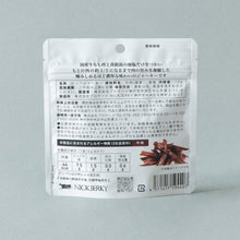 画像をギャラリービューアに読み込む, 塩だけでつくる熟成ビーフジャーキー12g|NICKJERKY(ニックジャーキー)