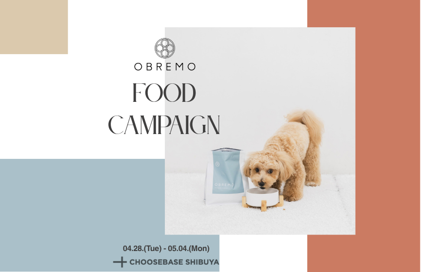【渋谷】POP UPイベント「OBREMO FOOD CAMPAIGN」のサムネイル