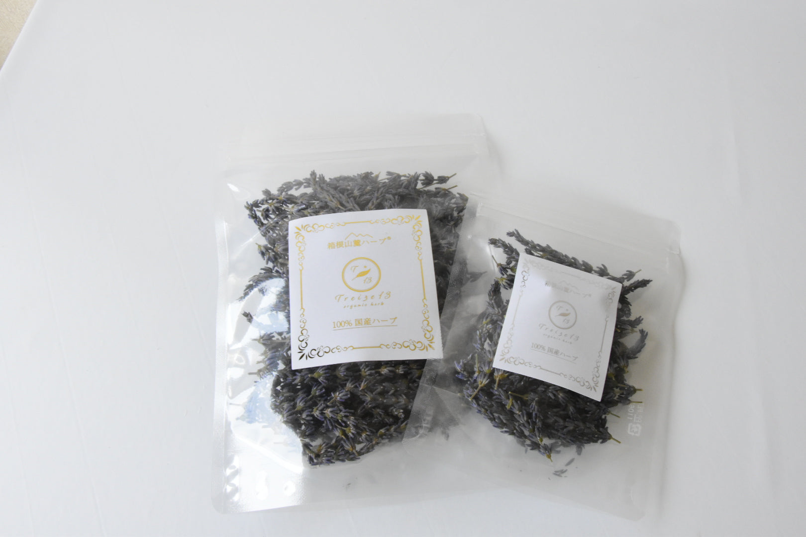 ラベンダー｜箱根山麓ハーブTreize13（ハコネサンロクハーブトレーズ）