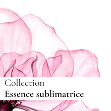 画像をギャラリービューアに読み込む, LA CRÈME SUBLIMATRICE - FORMULE INITIALE　　ラ クレーム スブリマトリス イニシャル フェイスクリーム｜Origine Cosmétiques（オリジンコスメティック）
