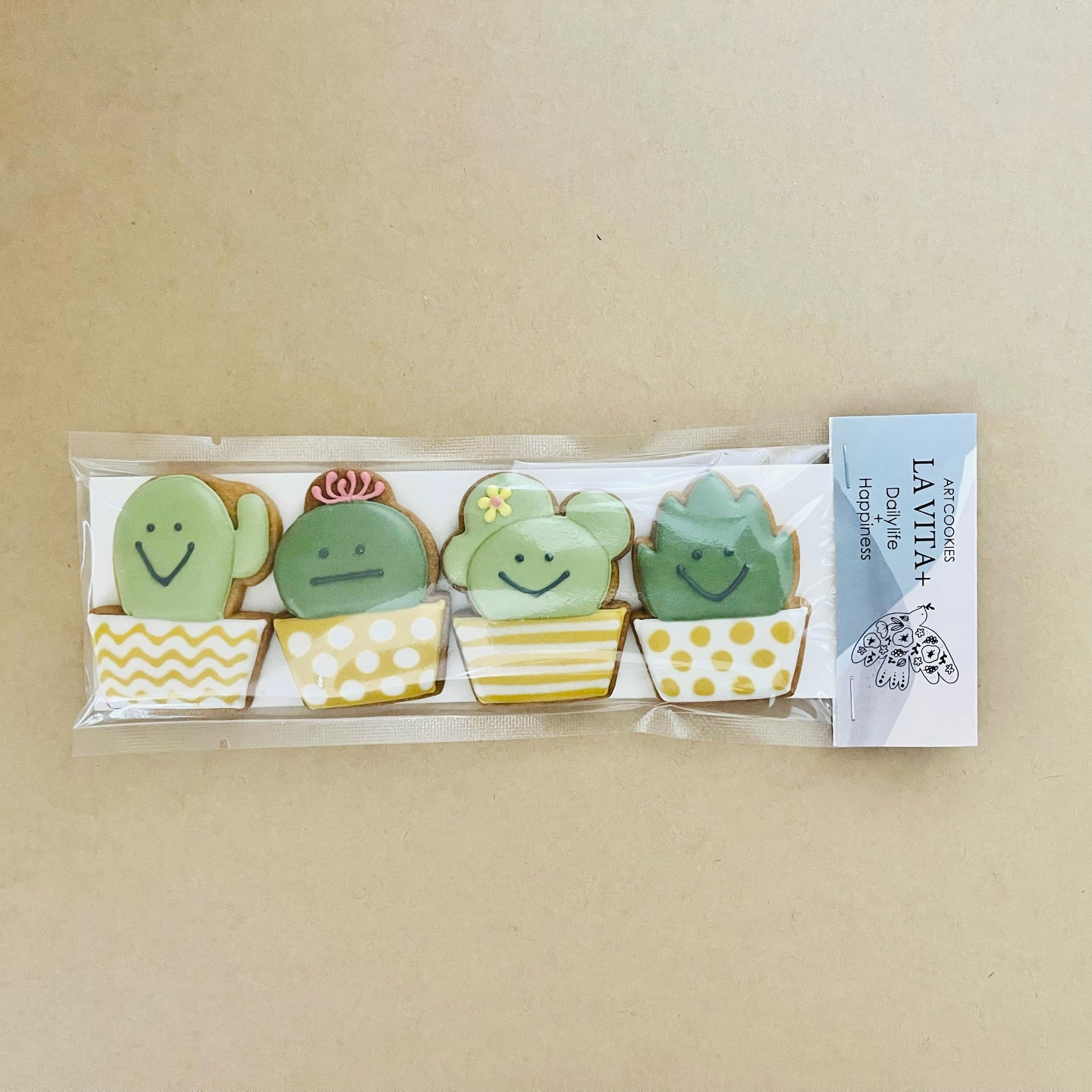 CACTUS｜LA VITA+（ラ　ヴィータ　プラス）