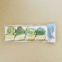 画像をギャラリービューアに読み込む, CACTUS｜LA VITA+（ラ　ヴィータ　プラス）
