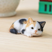 画像をギャラリービューアに読み込む, うつぶせ三毛猫｜WooBia（ウービア）
