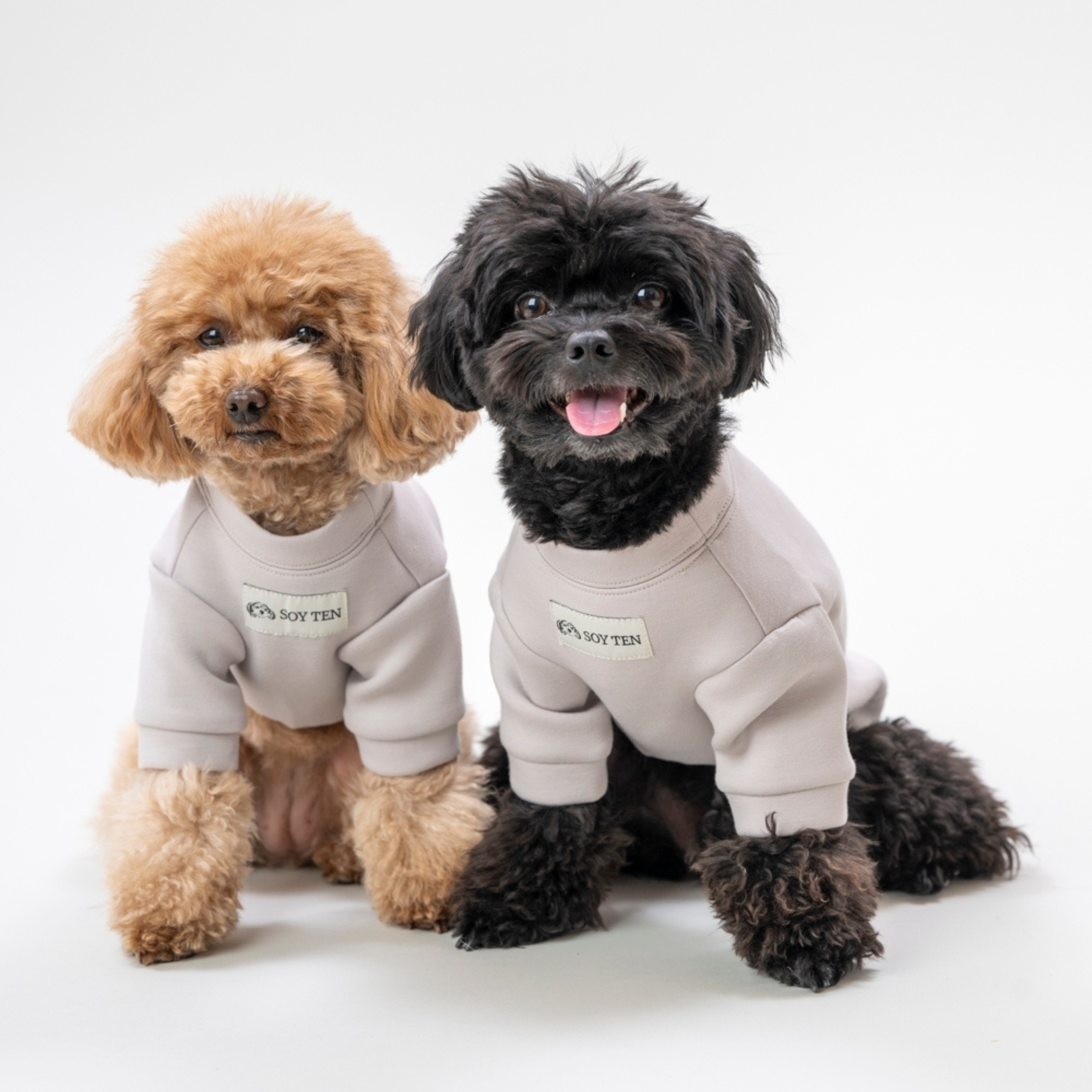 Mochi Sweatshirt (for DOGs)｜ SOY TEN APPAREL（ソイテンアパレル）