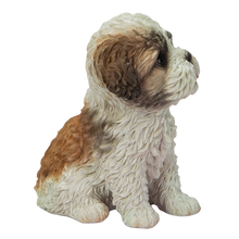 画像をギャラリービューアに読み込む, 頭を上げるシーズー｜WooBia（ウービア）
