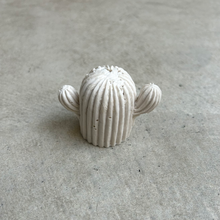 画像をギャラリービューアに読み込む, Botanicalトレイ　Green｜Green Style（グリーンスタイル）
