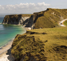 画像をギャラリービューアに読み込む, マヌカハニーWild Cape UMF20+ 250g｜FARADAY　KAMAKURA（ファラディ　カマクラ）
