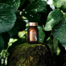 画像をギャラリービューアに読み込む, exofull FUJI｜exofull（エクソフル）
