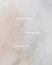 画像をギャラリービューアに読み込む, 碧潮 -aoshio-｜Platanus Brewing（プラタナスブルーイング）
