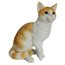 画像をギャラリービューアに読み込む, 右向きお座り茶トラ白猫（中）｜WooBia（ウービア）
