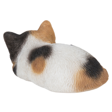 画像をギャラリービューアに読み込む, うつぶせ三毛猫｜WooBia（ウービア）
