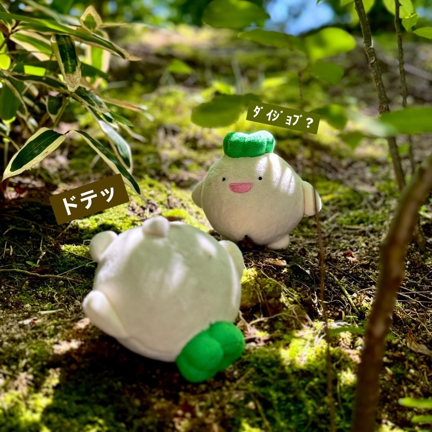 ぬいぐるみキーホルダー|かぶぼー – CHOOSEBASE SHIBUYA ぬいぐるみキーホルダー|かぶぼー – CHOOSEBASE SHIBUYA