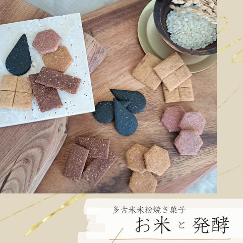 tacome 有機素材で優しいクッキーBOX｜tacome（タコメ）