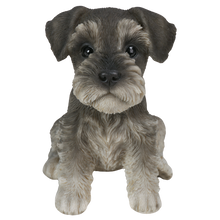 画像をギャラリービューアに読み込む, お座りシュナウザー（小）｜WooBia（ウービア）
