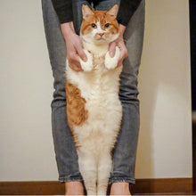 画像をギャラリービューアに読み込む, へそ天で眠るネコ・ボブの髪飾り｜maltamarie（マルタマリエ）
